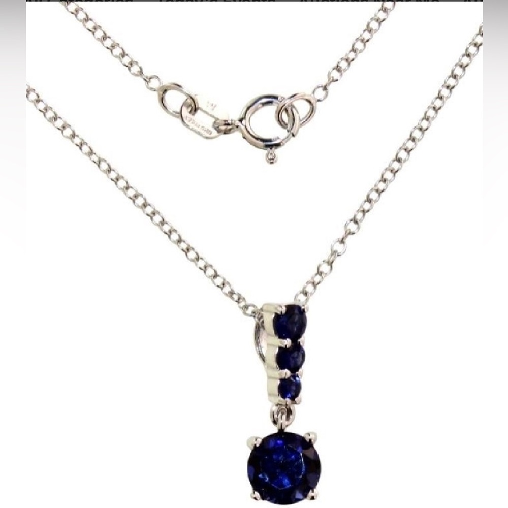 1.5CTW Blue Sapphire In 925 Sterling Silver: 18”  Forzatine Chain Made In Italy